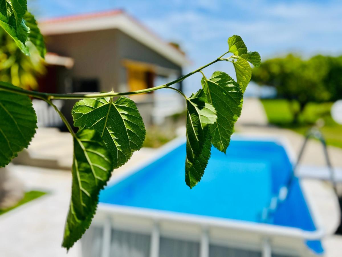 Готель Gazonia Family Estate Skala  Екстер'єр фото